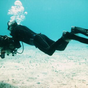 Cursos PADI Mexico