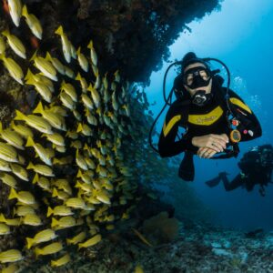Buceo Cozumel