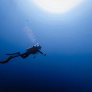 Buceo Playa del Carmen Mexico