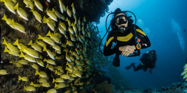 Buceo Cozumel