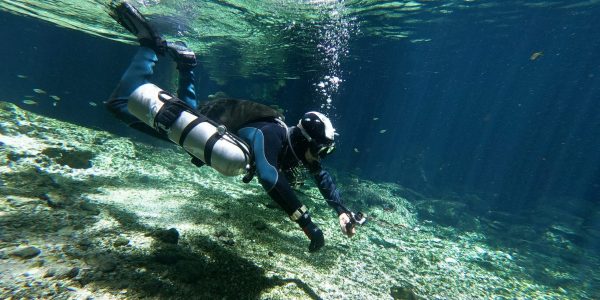 Buceo Cenote