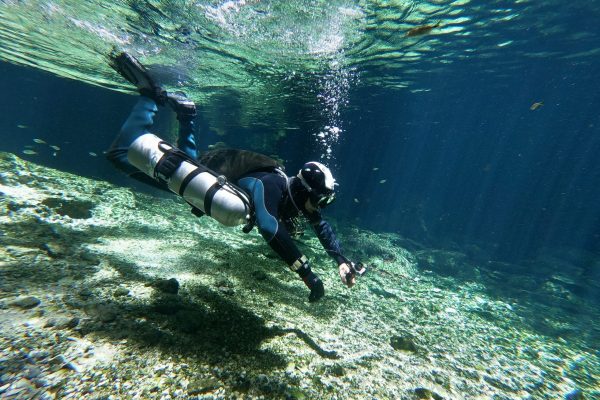 Buceo Cenote