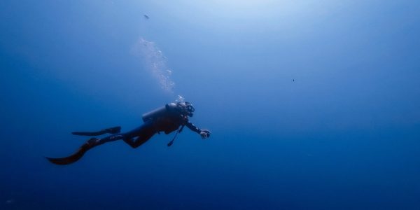 Buceo Playa del Carmen Mexico